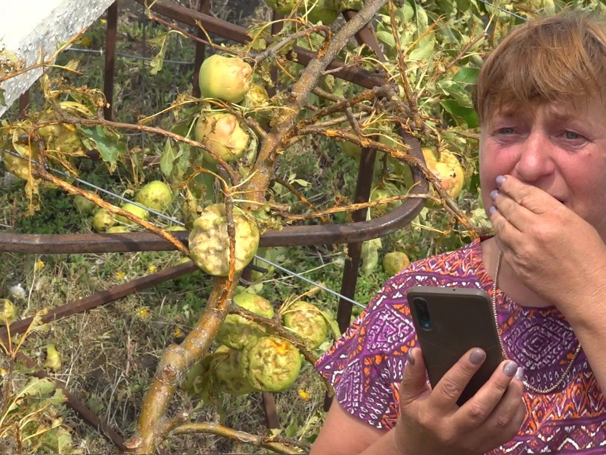 „Am muncit să avem cu ce trăi, fiul să nu plece peste hotare”. Vremea extremă: O familie din Edineț a rămas fără livadă în doar câteva minute (VIDEO)