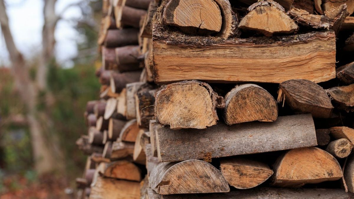 Vânzarea lemnelor de foc în acest an: Stocuri mici și prețuri mai mari