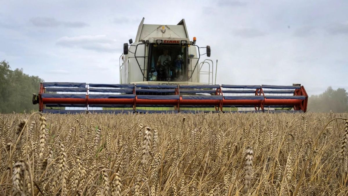 Fermierii moldoveni cer introducerea unui mecanism permanent de reglementare a importurilor cerealelor din Ucraina