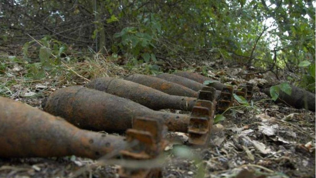 18 obiecte explozive, neutralizate într-o lună. Apelul geniștilor în sezonul lucrărilor agricole