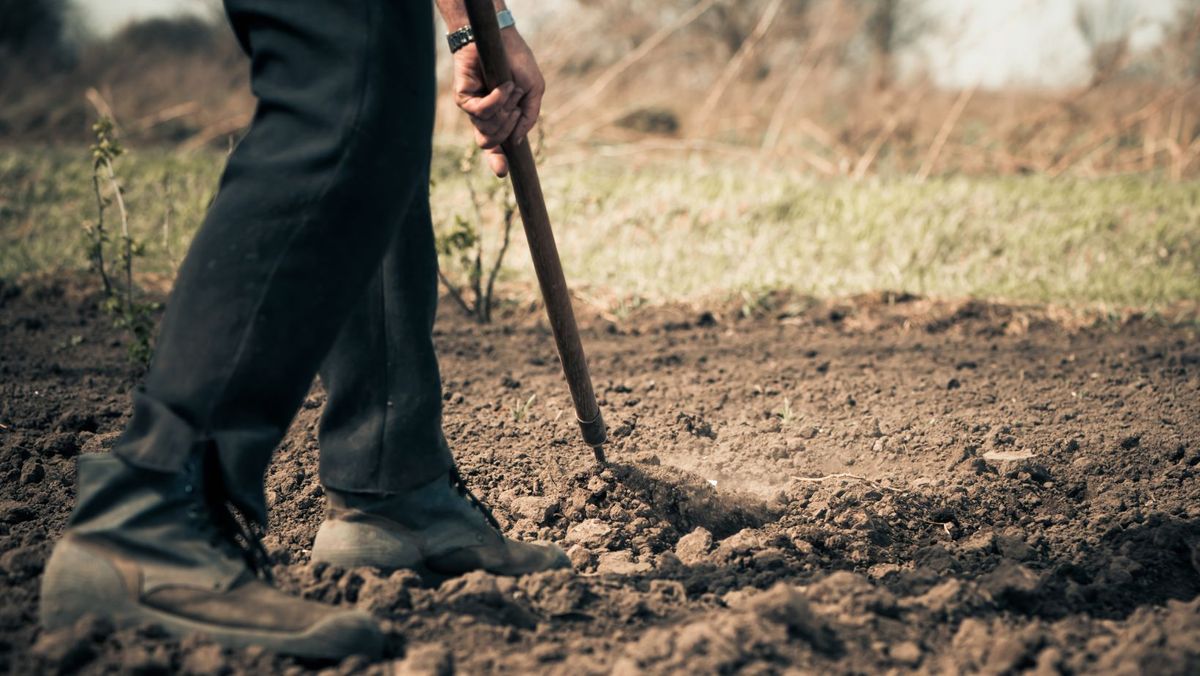 Fermierii micro și mici pot accesa un nou instrument de creditare. Anunțul făcut de Ministerul Agriculturii