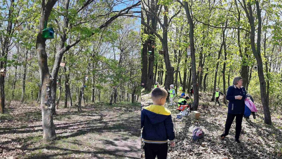 Luna Pădurii: Mai mulți copii din Leova au instalat căsuțe pentru păsări și au participat la jocuri educative în natură