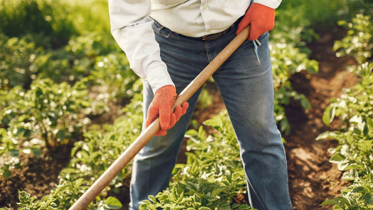 O fermă din Criuleni va fi modernizată. În următorii doi ani, vor fi investiți circa 15 milioane de euro