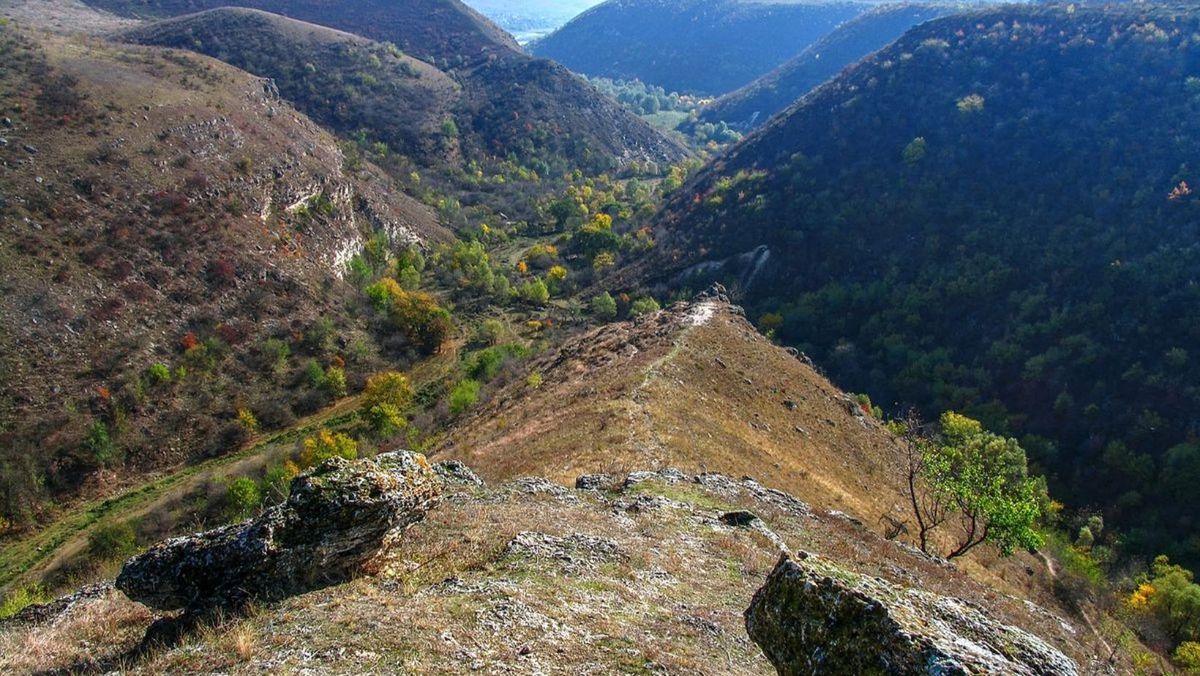 Complex turistic, construit ilegal în Rezervația Țîpova. Inspectoratul Mediului anunță că lucrările au fost stopate