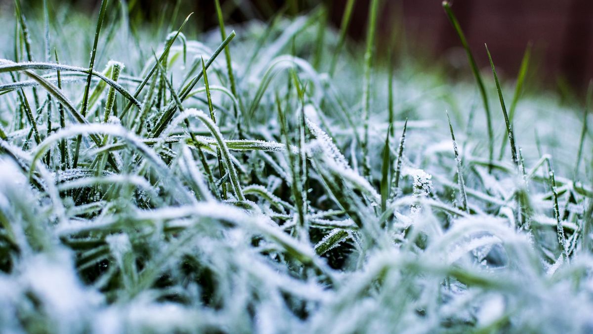 Cod galben de înghețuri în nordul țării. Temperatura va coborî până la -3°C