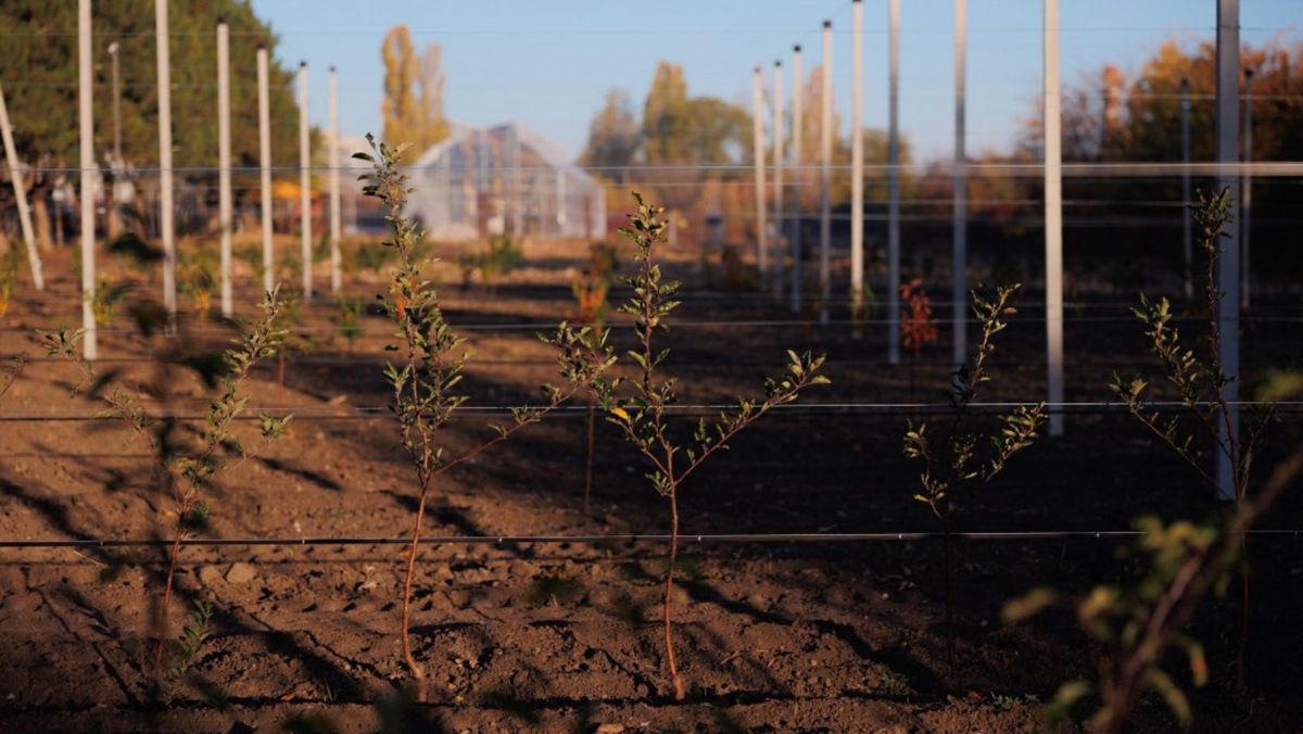Studenții de la UTM vor pune în practică teoria. Universitatea a inaugurat două sere și a primit 12 terenuri agricole