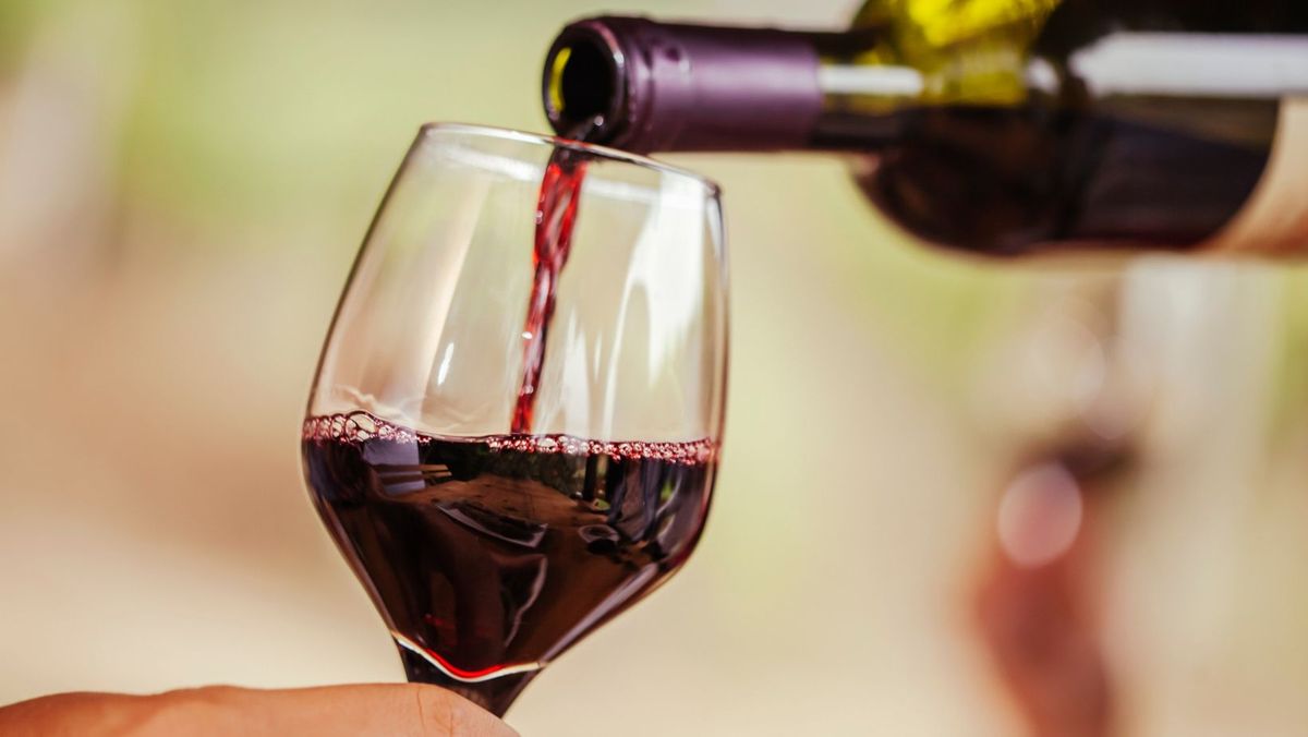 Vinurile moldovenești au obținut 11 medalii la concursul internațional Bacchus din Madrid