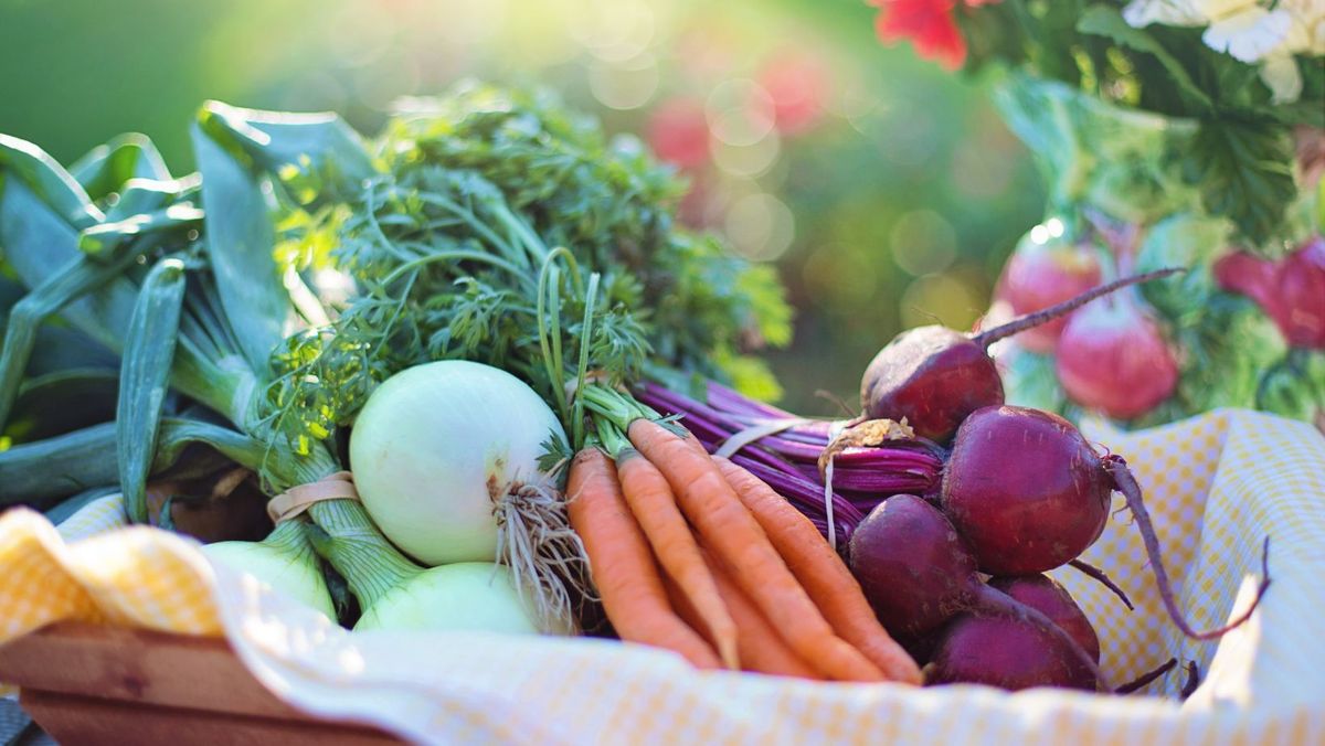 Astăzi este ultima zi când fermierii pot solicita granturi pentru tranziția către practici agricole mai sustenabile