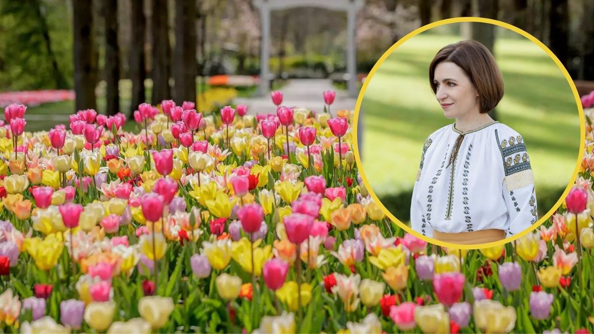 „Mica Olandă” de la Chișinău: La Grădina Botanică va fi inaugurată „Insula Lalelelor”, sădită de Maia Sandu