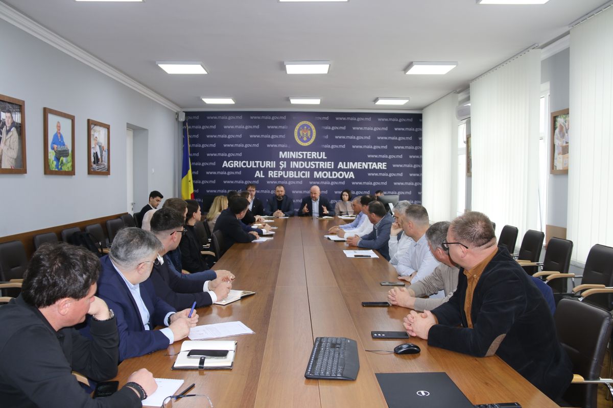 Producătorii de semințe de floarea-soarelui și procesatorii, la masa de discuții. Precizările Ministerului Agriculturii