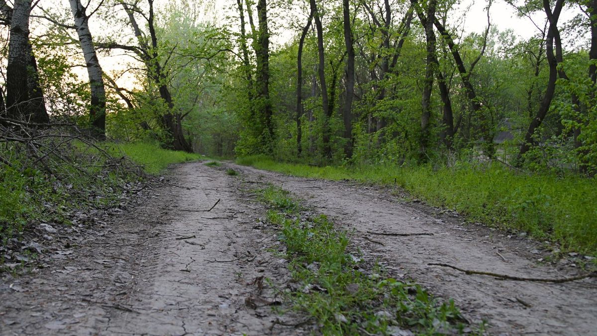 R. Moldova va împrumuta 40 de milioane de euro pentru modernizarea domeniului forestier