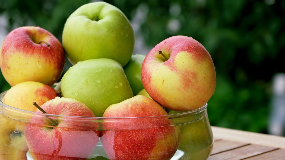 Produsele agricole moldovenești, în continuare, vor putea fi exportate fără taxe în Marea Britanie și Irlanda de Nord