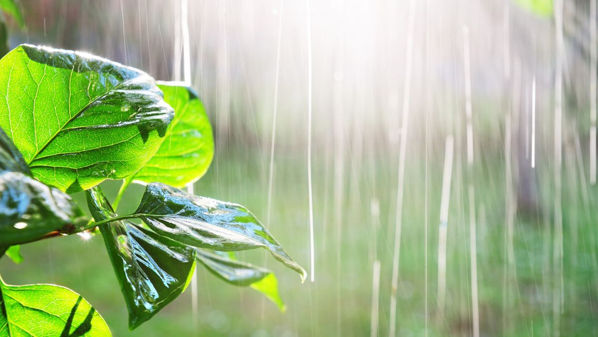 Meteorologii au emis cod galben de instabilitate atmosferică: Sunt prognozate ploi slabe cu descărcări electrice