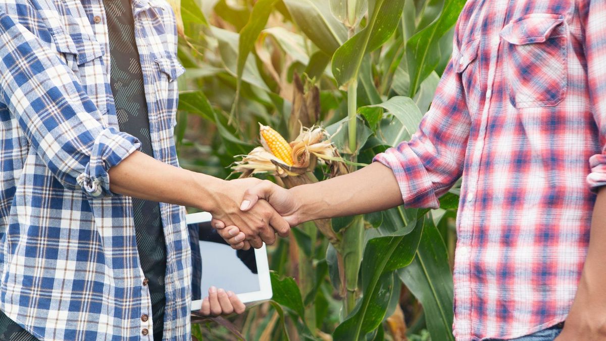 Peste 177 de milioane de lei au ajuns în conturile agricultorilor, în luna mai. Detalii de la AIPA