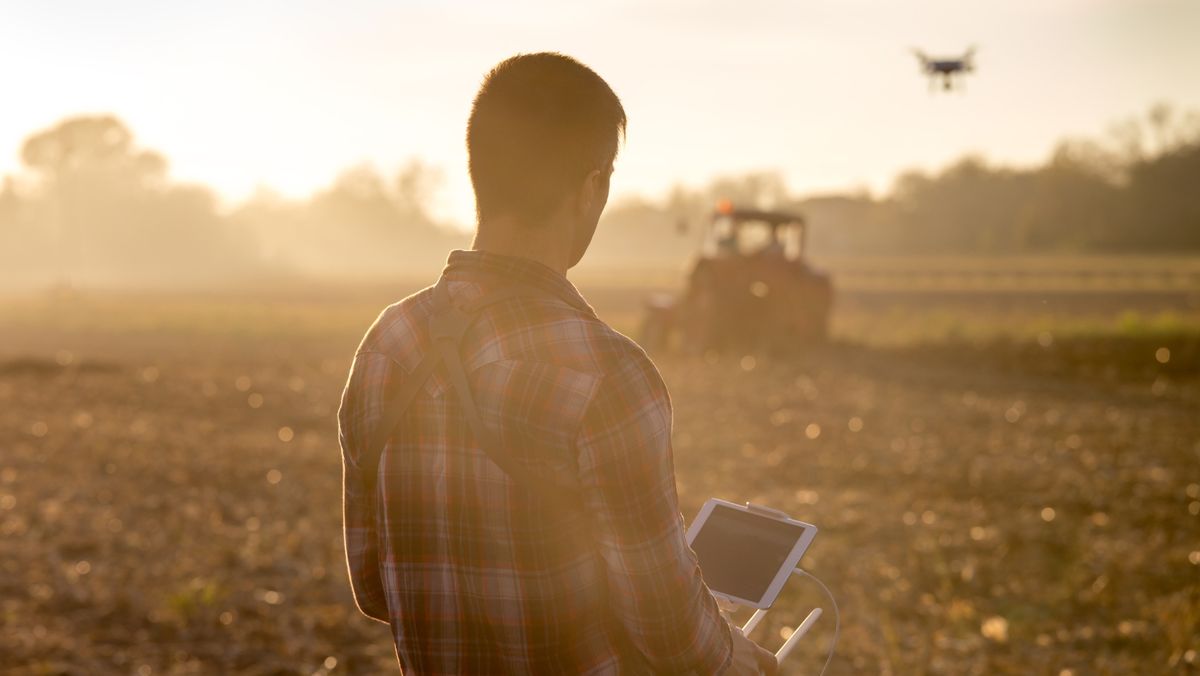 Mai mulți fermieri din țară vor primi granturi pentru aplicarea practicilor agricole moderne