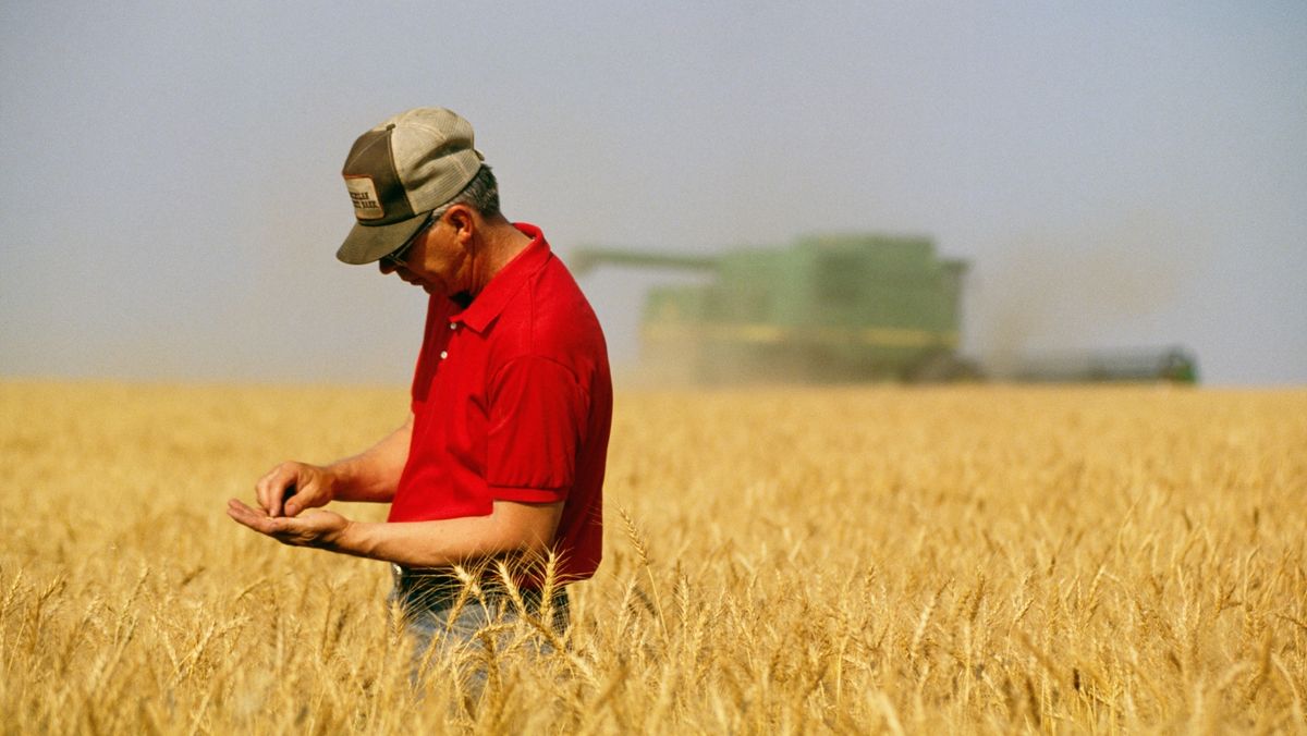 Din 1 martie, fermierii vor avea acces la un nou produs financiar destinat susținerii investițiilor în agricultură