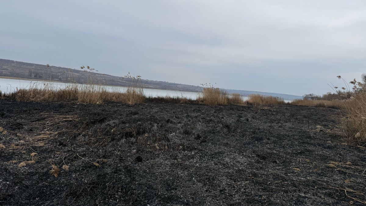 Peste 68 de hectare de vegetație din orașul Vatra, mistuite de flăcări. Incendiul - provocat de neglijența umană