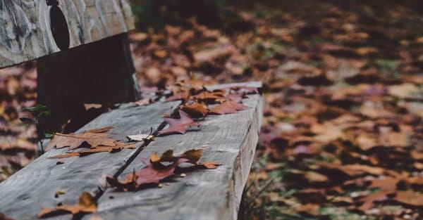 Meteo în R. Moldova: Cum va fi vremea în acest weekend
