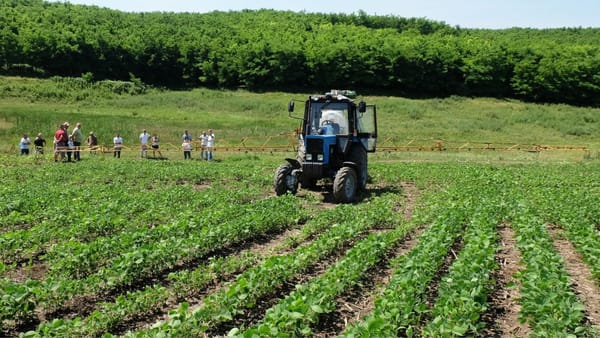 Chișinăul va aloca 2.000.000 de lei pentru fermierii care dețin terenuri agricole după traseul Râbnița-Tiraspol
