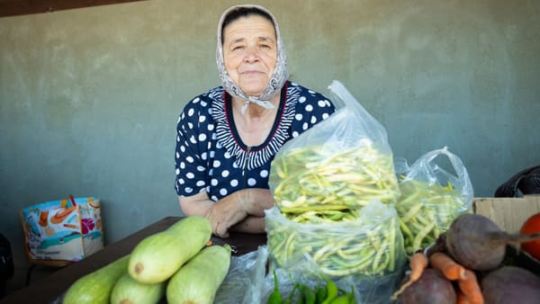 Oportunități de dezvoltare pentru agricultorii de la sud. La Colibași a fost construită o piață agroalimentară modernă