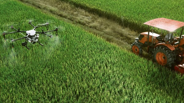Agricultorii vor accesa mai ușor subvențiile oferite din partea statului. Ce modificări a aprobat Guvernul