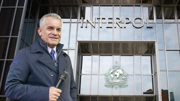 Interpol acceptă cererea R. Moldova și va examina repetat cazul lui Vlad Plahotniuc