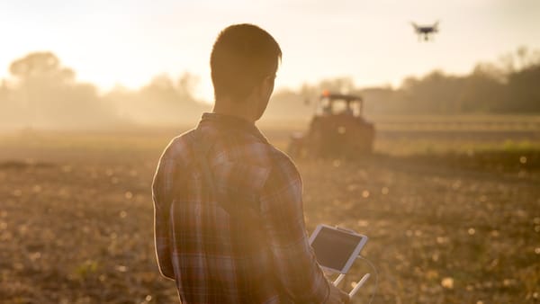 Mai mulți fermieri din țară vor primi granturi pentru aplicarea practicilor agricole moderne