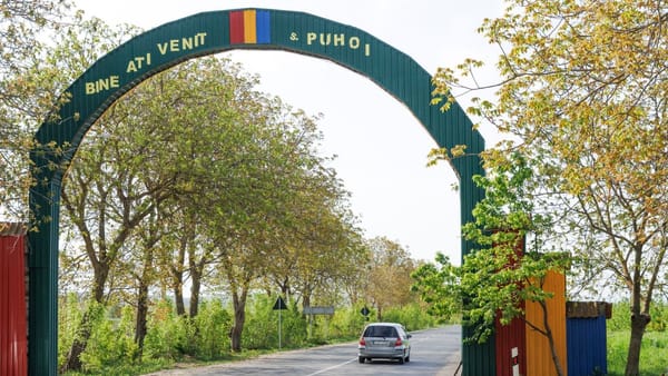 Saci cu carne tocată, depistați la o gunoiște din raionul Ialoveni. Autoritățile caută făptașii