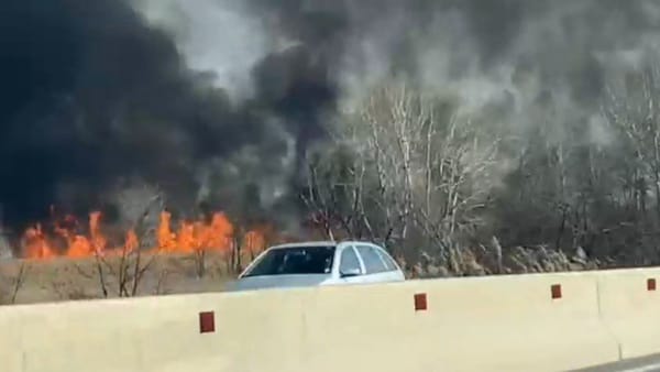 VIDEO/ Incendiu puternic de vegetație în orășelul Vatra. Pompierii intervin la fața locului