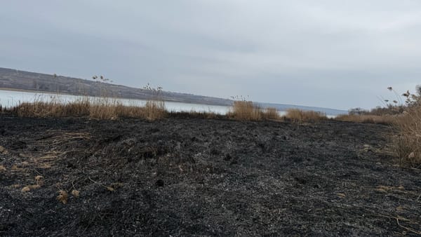 Peste 68 de hectare de vegetație din orașul Vatra, mistuite de flăcări. Incendiul - provocat de neglijența umană