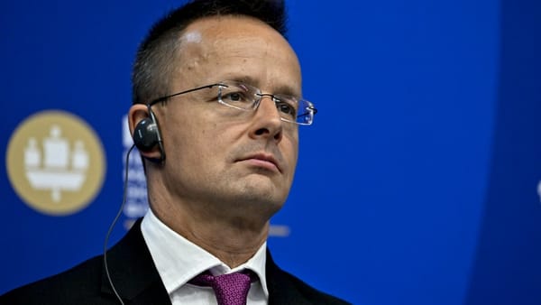 O companie ungară va furniza gaze naturale regiunii transnistrene, la cererea Rusiei