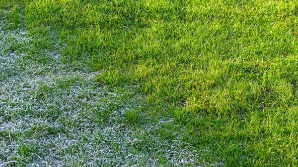 Înghețuri în luna mai. În nordul și unele raioane din centrul țării sunt prognozate minime de până la -2°C