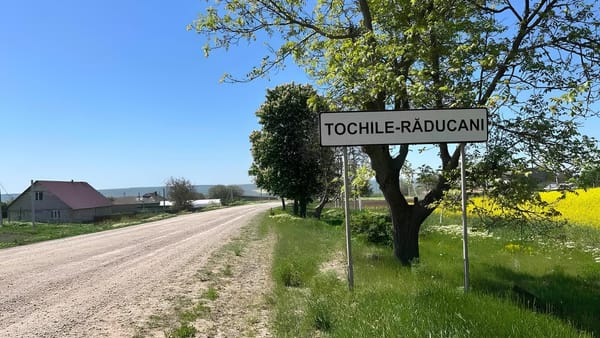 Amalgamare voluntară în raioanele Leova și Fălești. Șapte localități vor forma două entități administrative